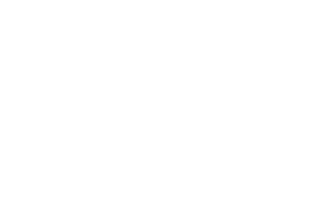 Logo Novos Talentos