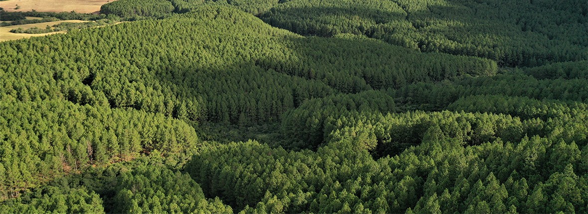 Compromisso com o meio ambiente